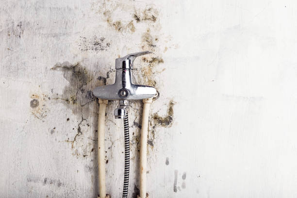 Best Mold Remediation for Schools in Arkoma, OK