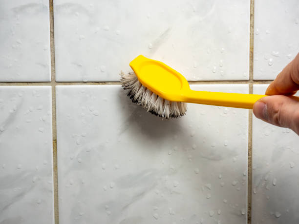 Professional Mold Remediation in Arkoma, OK