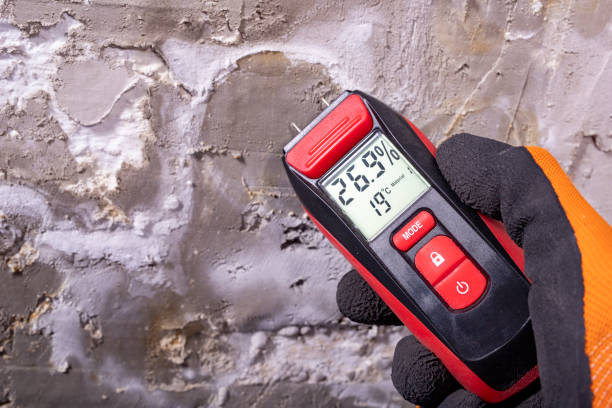 Best HVAC Mold Remediation in Arkoma, OK