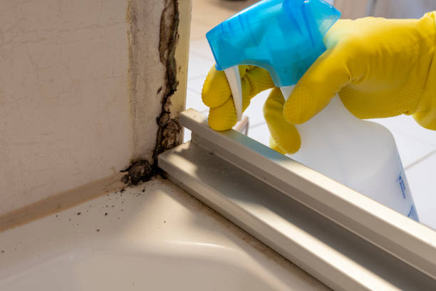 Best Crawl Space Mold Remediation in Arkoma, OK