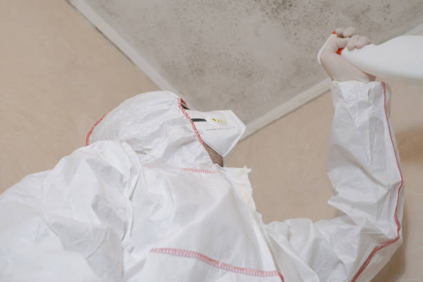 Best Post-Flood Mold Remediation in Arkoma, OK
